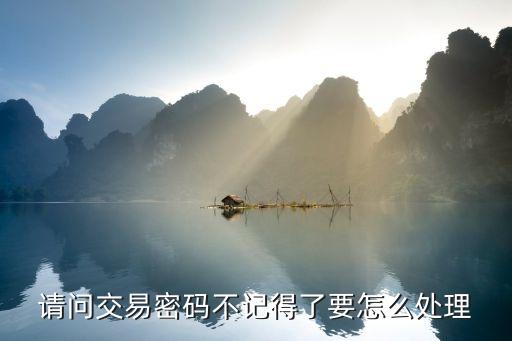 公司賬戶交易密碼忘了怎么辦，請問交易密碼不記得了要怎么處理