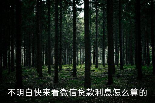 扣扣微信怎么貸款利息，不明白快來看微信貸款利息怎么算的
