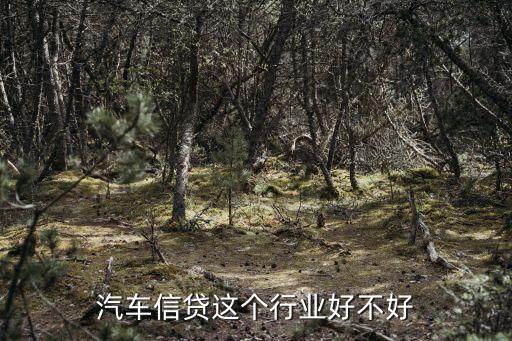 汽車貸款銷售怎么樣的，汽車貸款業(yè)務(wù)員好做嗎