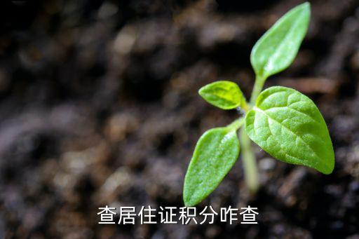 上海積分怎么查詢，上海居住證積分怎么查