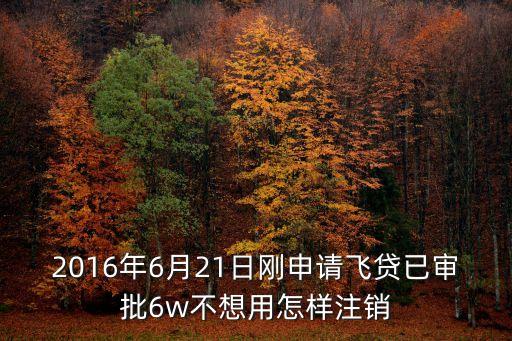 2016年6月21日剛申請飛貸已審批6w不想用怎樣注銷