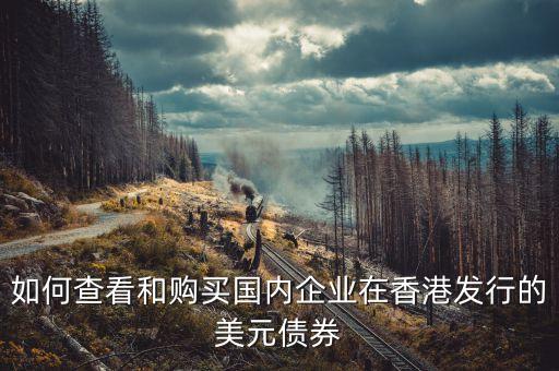 怎么買匯添富美元債，如何查看和購買國內(nèi)企業(yè)在香港發(fā)行的美元債券
