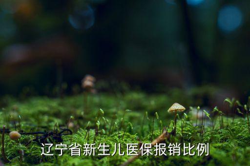 遼寧省新生兒醫(yī)保報(bào)銷比例