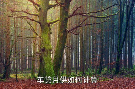 車款月貸比例怎么算法，車貸月供如何計(jì)算