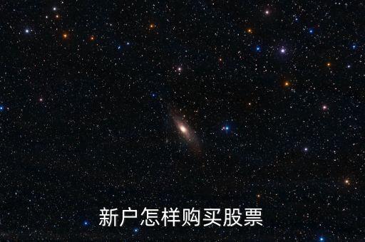 新開戶的股票怎么買，新戶怎樣購買股票