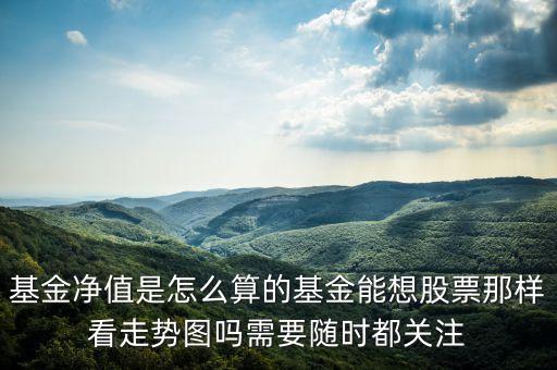 基金凈值是怎么算的基金能想股票那樣看走勢圖嗎需要隨時都關(guān)注