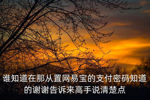 誰(shuí)知道在那從置網(wǎng)易寶的支付密碼知道的謝謝告訴來(lái)高手說(shuō)清楚點(diǎn)