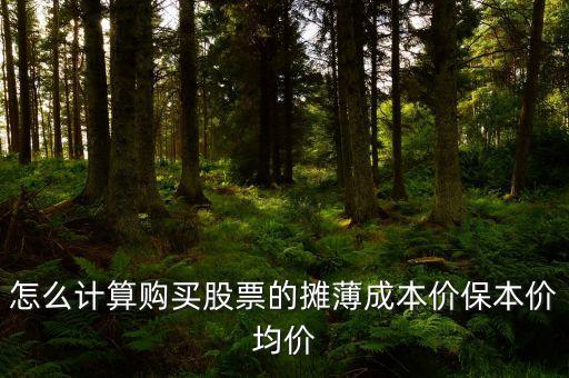 怎么計算購買股票的攤薄成本價保本價均價