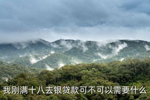 剛滿18歲怎么貸款，剛滿18周歲怎么貸款