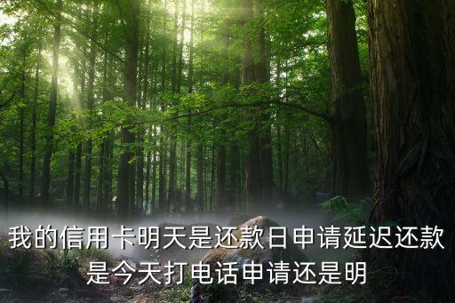 我的信用卡明天是還款日申請延遲還款是今天打電話申請還是明