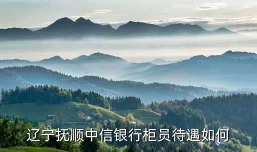 中信銀行的待遇怎么樣，中信銀行待遇知道的進(jìn)15