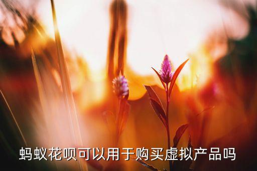 螞蟻花唄可以用于購買虛擬產(chǎn)品嗎