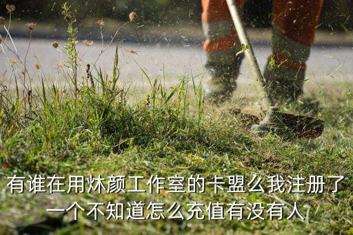 有誰在用炑顏工作室的卡盟么我注冊(cè)了一個(gè)不知道怎么充值有沒有人