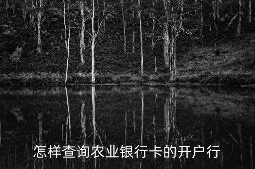 農(nóng)行卡怎么查開戶支行，怎樣查詢農(nóng)業(yè)銀行卡的開戶行