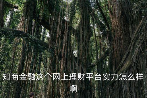 知商金融這個(gè)網(wǎng)上理財(cái)平臺(tái)實(shí)力怎么樣啊