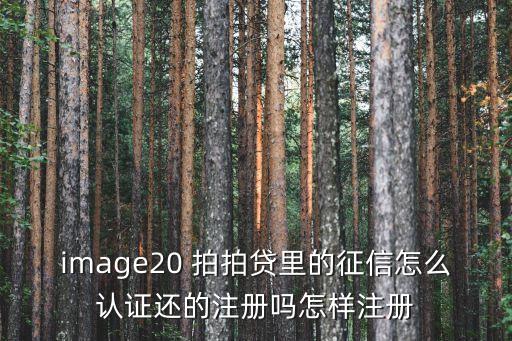 image20 拍拍貸里的征信怎么認(rèn)證還的注冊嗎怎樣注冊