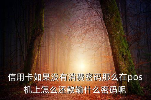 pos機刷信用卡怎么還款，pos機信用卡怎么還款