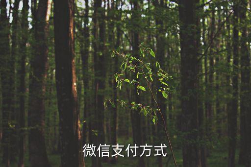 用微信怎么付款方式，微信支付有幾種常用支付方式