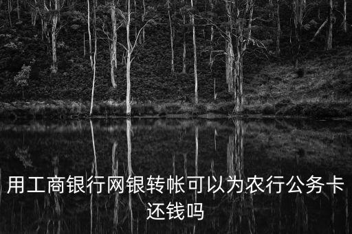 用工商銀行網(wǎng)銀轉(zhuǎn)帳可以為農(nóng)行公務(wù)卡還錢嗎