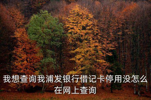我想查詢我浦發(fā)銀行借記卡停用沒怎么在網(wǎng)上查詢
