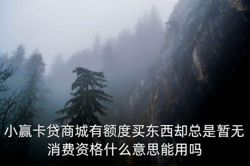 小贏卡貸商城有額度買東西卻總是暫無消費資格什么意思能用嗎