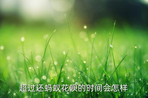 花唄時(shí)間過(guò)了怎么辦，花唄不要利息是吧如果過(guò)了還款日期沒(méi)有還怎么辦