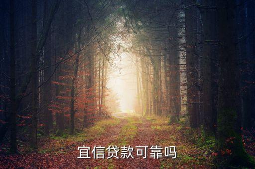 宜貸金融服務有限公司怎么樣，宜信貸款怎么樣知道的朋友說說啊