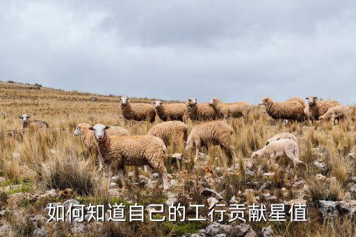 如何知道自己的工行貢獻(xiàn)星值