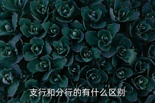 分行支行網(wǎng)點怎么區(qū)分，分行與支行有什么區(qū)別
