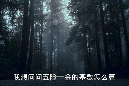 我想問問五險一金的基數(shù)怎么算