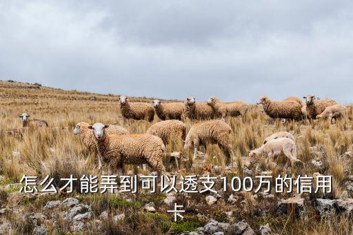 怎么才能弄到可以透支100萬的信用卡