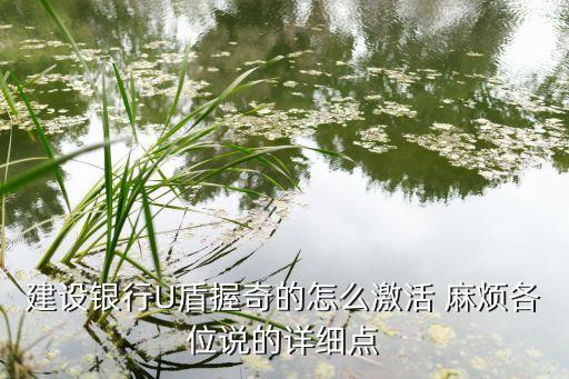 建行u盾怎么自己激活，怎樣激活建行U盾