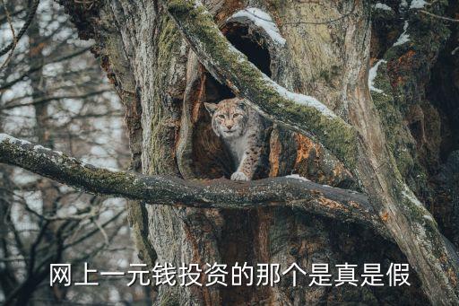 1元理財(cái)怎么樣啊，網(wǎng)上一元錢投資的那個(gè)是真是假