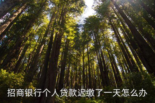 招商銀行個人貸款遲繳了一天怎么辦