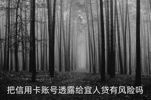 把信用卡賬號(hào)透露給宜人貸有風(fēng)險(xiǎn)嗎