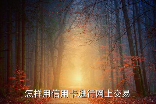 網(wǎng)上購(gòu)物信用卡怎么支付，信用卡怎樣在網(wǎng)上付款