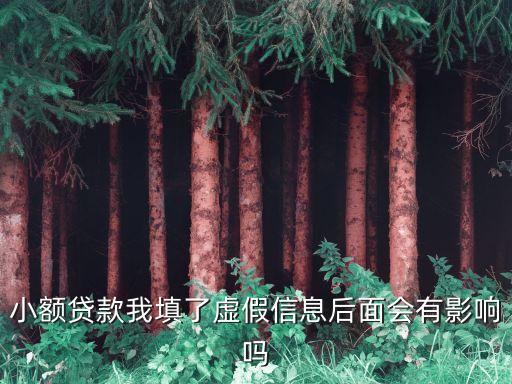 小額貸款我填了虛假信息后面會(huì)有影響嗎