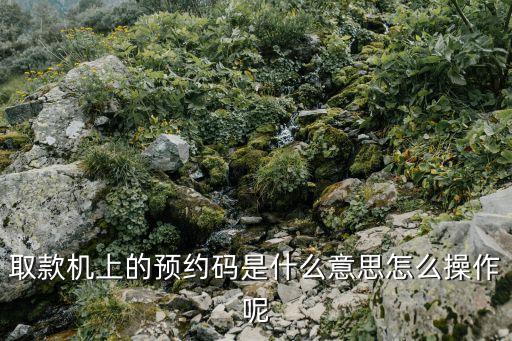 取款機(jī)上的預(yù)約碼是什么意思怎么操作呢