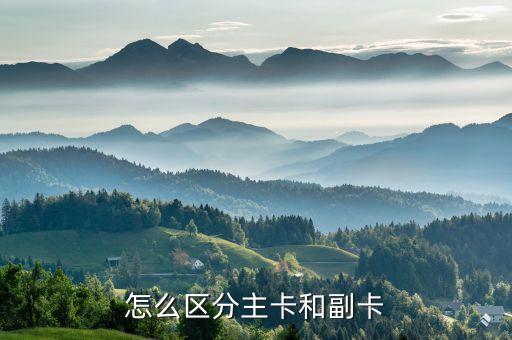 怎么區(qū)別手機主卡副卡，手機主卡和副卡有什么區(qū)別