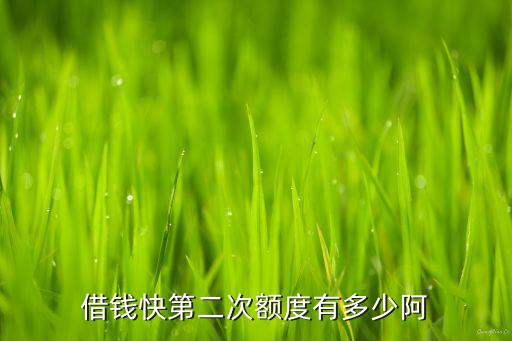 借得快二次借款怎么辦，借錢快第二次額度有多少阿