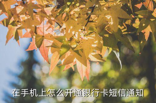 網(wǎng)上銀行短信怎么開通短信提醒業(yè)務(wù)，在手機上怎么開通銀行卡短信通知