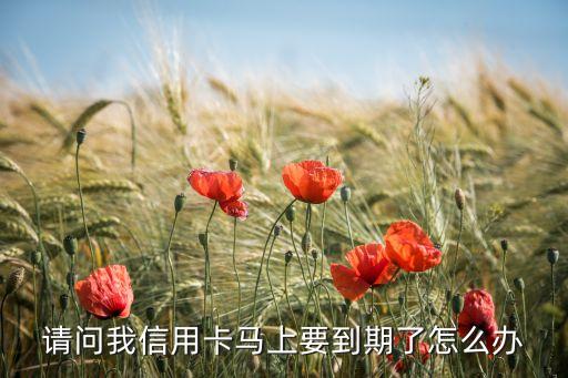 信用卡馬上到期怎么辦，我的信用卡馬上要到期了該怎么辦