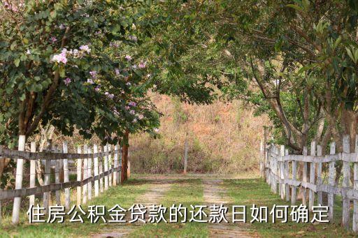 房貸公積金日還款怎么算的，住房公積金貸款的還款日如何確定