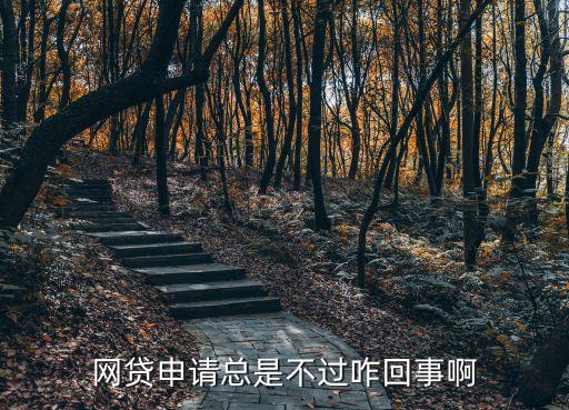 網(wǎng)貸怎么都通過不了，網(wǎng)貸申請總是不過咋回事啊