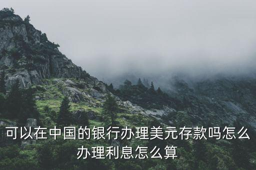可以在中國的銀行辦理美元存款嗎怎么辦理利息怎么算