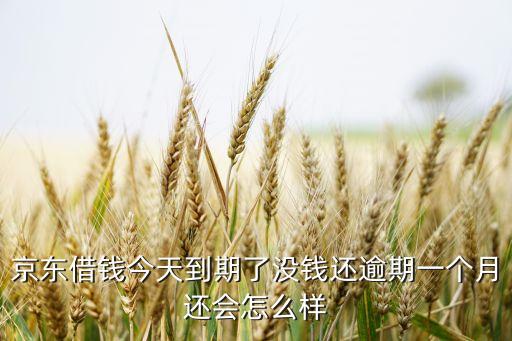 京東白條 一個(gè)月還款會(huì)怎么樣，白條逾期一個(gè)月還款會(huì)有什么問(wèn)題嘛