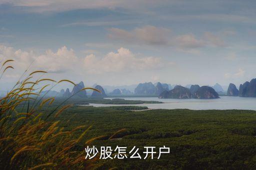 怎么開股票股票戶頭，股票怎樣開戶