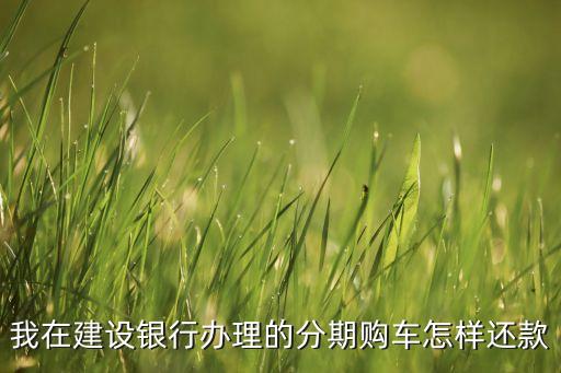 我在建設(shè)銀行辦理的分期購車怎樣還款