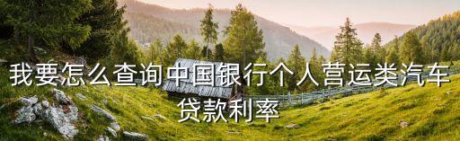 我要怎么查詢中國銀行個人營運(yùn)類汽車貸款利率