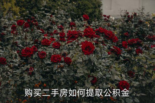 購買二手房怎么提取公積金貸款，購買二手房如何提取公積金